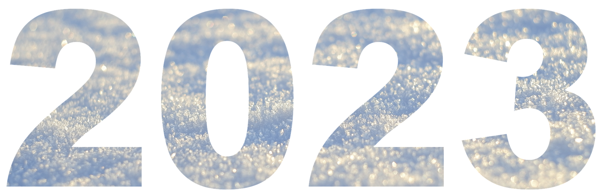 year-7574084_1920.png